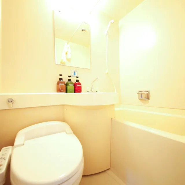 غرفة قياسية بسرير نصف مزدوج، Shonandai Dai-ichi Hotel Fujisawa Yokohama 4/4