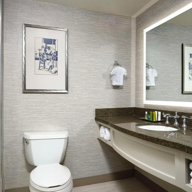 غرفة بسرير كينج بشرفة بحوض استحمام لذوي الإعاقة، Hilton Virginia Beach Oceanfront 7/7