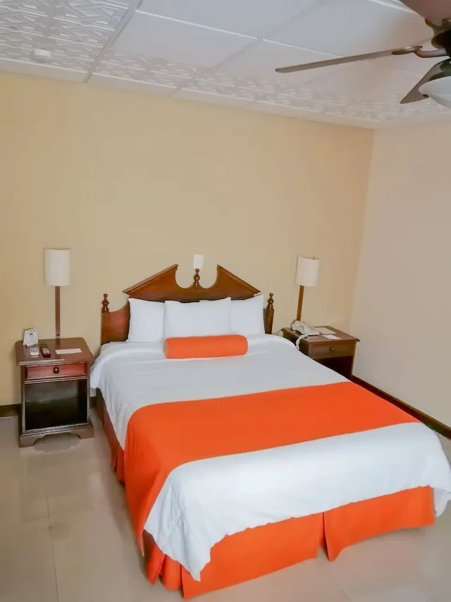غرفة سوبيريور بسرير كوين، Hotel Royal Palace 4/6
