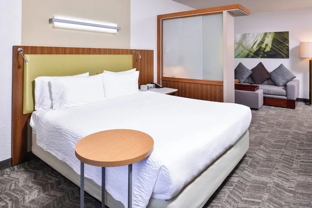 جناح بسرير كينج مع سرير سحّاب إضافي لذوي الإعاقة، Springhill Suites Temecula Valley Wine Country 3/5