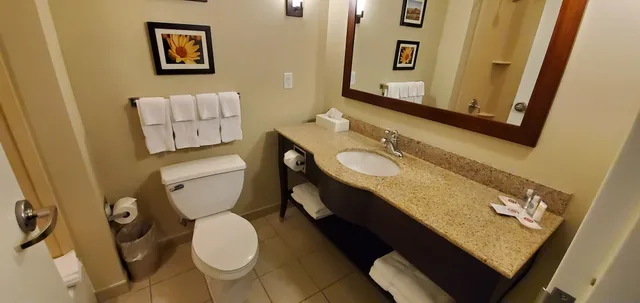 جناح بسرير كينج مع أريكة يُسمح فيها بالحيوانات الأليفة، Comfort Suites Helena Airport 3/3