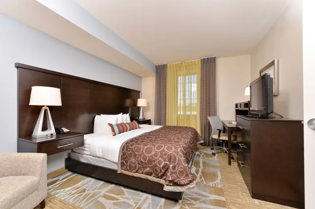 جناح استوديو بسرير كوين بمطبخ لذوي الإعاقة، Staybridge Suites San Antonio - Stone Oak 2/4