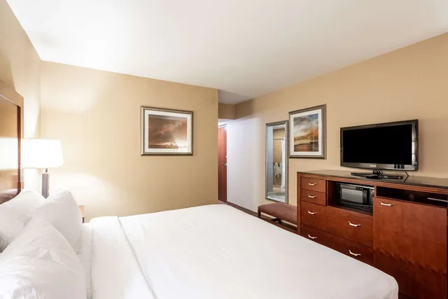غرفة بسرير كينج لذوي الإعاقة، Holiday Inn Friso by IHG 1/4