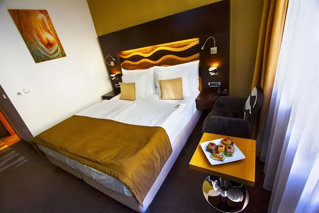 غرفة قياسية بسرير كينج، Danubia Gate Hotel 5/9