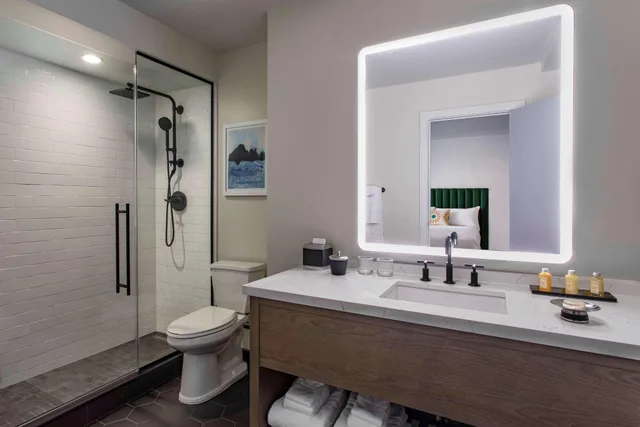 Deluxe, Queen Bed, City View, The Royal Sonesta Chicago Downtown 3/3