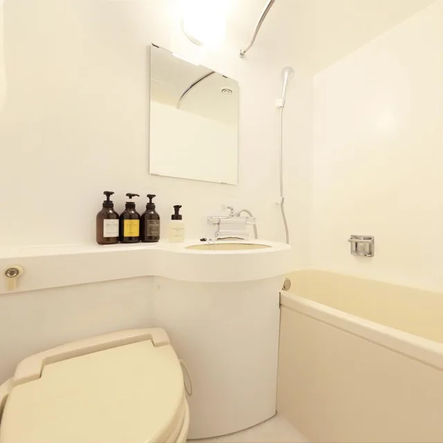 غرفة بسرير نصف مزدوج، Atsugi Urban Hotel 4/13