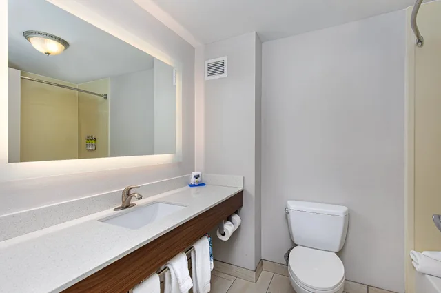Standard, Holiday Inn Express Hotel and Suites Mt. Juliet-Nashville Area 8/8