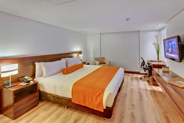 جناح بسرير كينج، Best Western Plus 93 Park Hotel 1/5