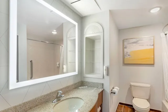 Room, King Bed, Comfort Suites East Brunswick - South River 5/5