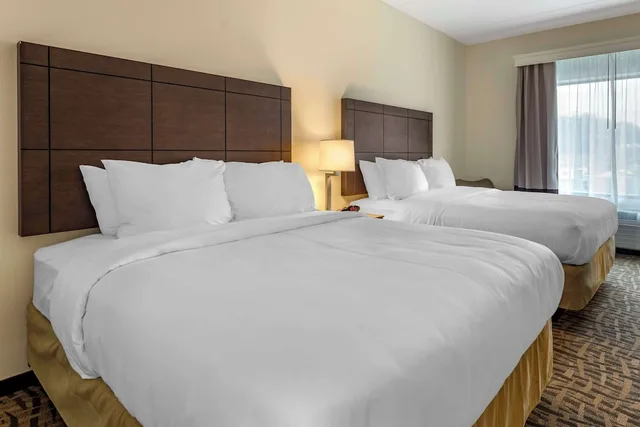 غرفة بسريرين كوين لذوي الإعاقة، Comfort Inn and Suites Pittsburgh Northshore, PA 1/2