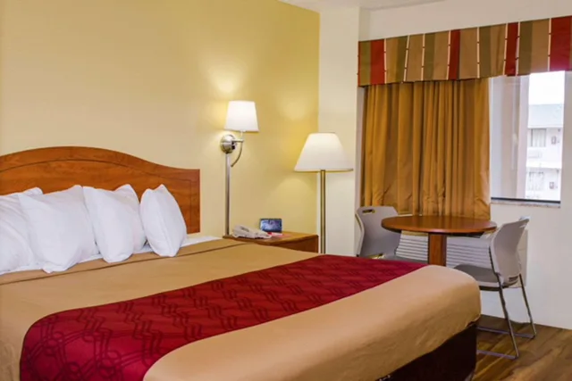 Senior, King Bed، Econo Lodge Albuquerque East 2/2