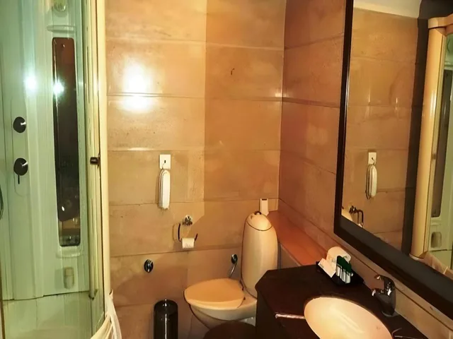جناح تنفيذي بسرير كينج، Regenta Central Klassik 1/1