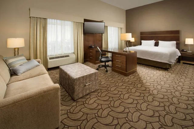جناح استوديو بسرير كينج مع أريكة، Hampton Inn and Suites San Antonio Downtown Market Square 1/4