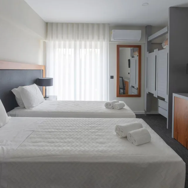 غرفة بسرير مزدوج أو سريرين منفصلين لذوي الإعاقة، Hotel Afonso V 4/6