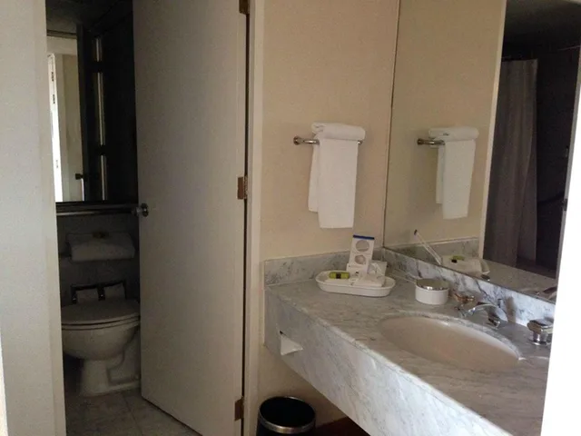 Luxury, Forest View، Presidente Intercontinental Mexico City 3/4