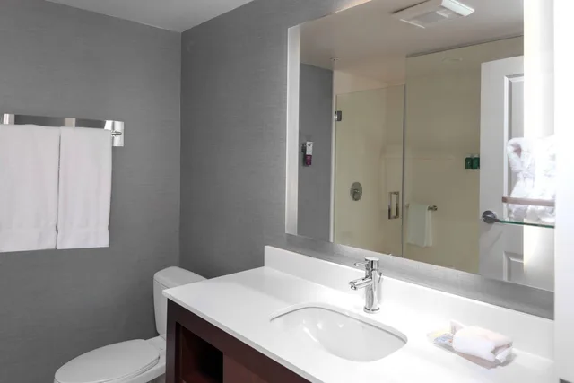 استوديو بسرير كينج مع أريكة بحوض استحمام لذوي الإعاقة، Residence Inn By Marriott Atlanta Mcdonough 4/4