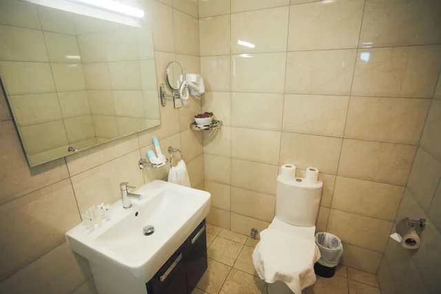 غرفة تنفيذية بمطبخ، Airport View Hotel 2/3