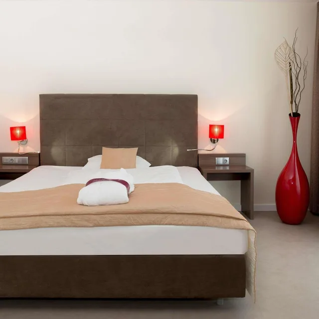 جناح جونيور مع أريكة، Mercure Graz City Hotel 2/8