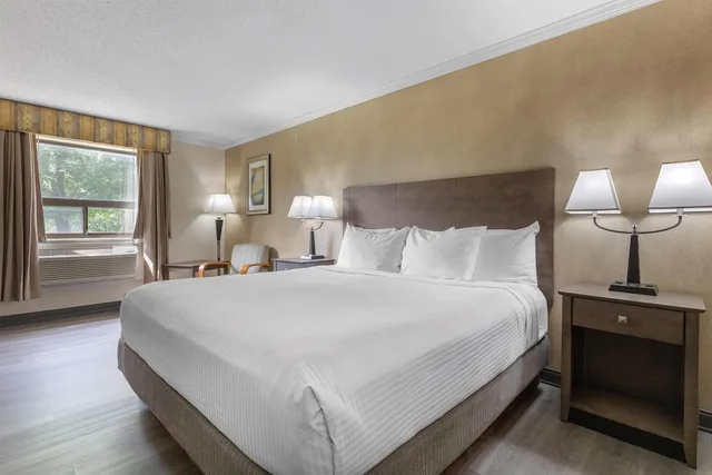 Standard, King Bed, Best Western Davison Inn 10/10