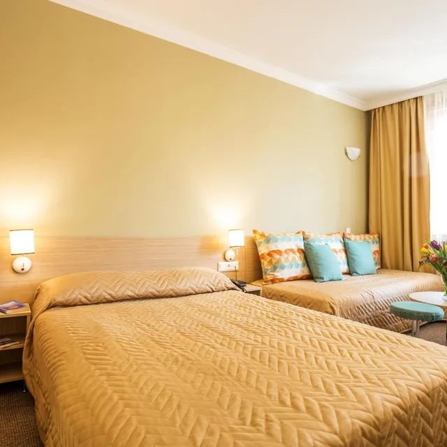 غرفة بسرير مزدوج، Geneva 5/10