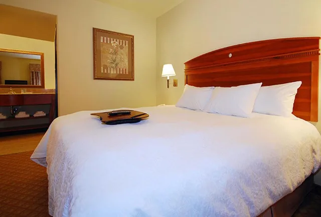 غرفة بسرير مزدوج، Hampton Inn & Suites Pharr, TX 1/2