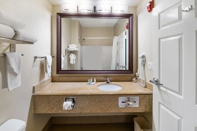 جناح بسرير كينج لذوي الإعاقة، Hyatt Select Galveston Beachfront 8/8