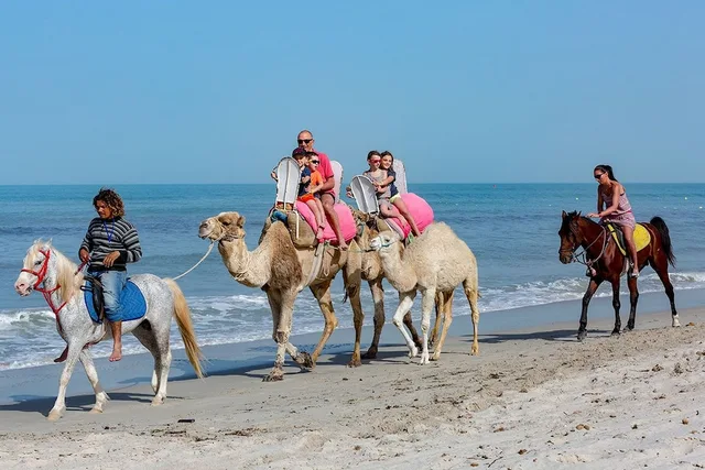 Club Marmara Palm Beach Djerba, El Mgarsa 60/64