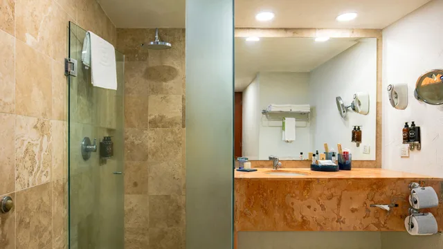 غرفة قياسية بسرير مزدوج، Camino Real Guadalajara 8/10