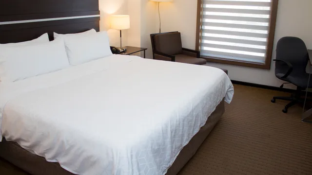 Specialty، Holiday Inn Express Guaymas 1/1