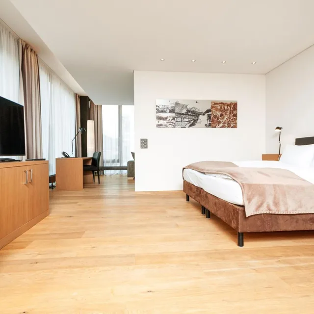 Deluxe, Apartment, Single Bed, Sauna, Sihlpark Hotel 2/2