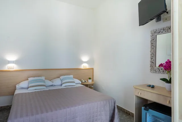 غرفة مفردة بشرفة، Hotel Constellation 1/5