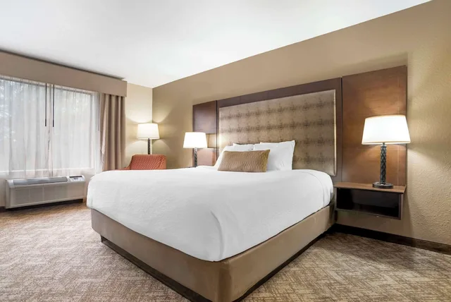 جناح تنفيذي كبير بسرير كينج، Best Western Gardendale 3/4