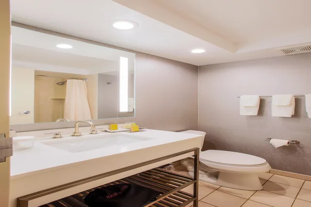 غرفة قياسية بسرير كينج، Doubletree By Hilton Chicago Alsip 2/3