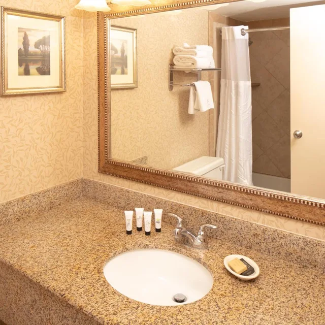 غرفة قياسية بسرير كينج، Red Lion Hotel Pocatello 4/4