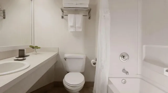 Oasis, Deluxe, Double Bed, SkyBeach Resort 3/3