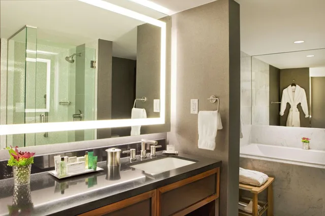 جناح بسرير كينج بغرفة نوم واحدة مع أريكة لذوي الإعاقة، HILTON NASHVILLE-DOWNTOWN 2/3