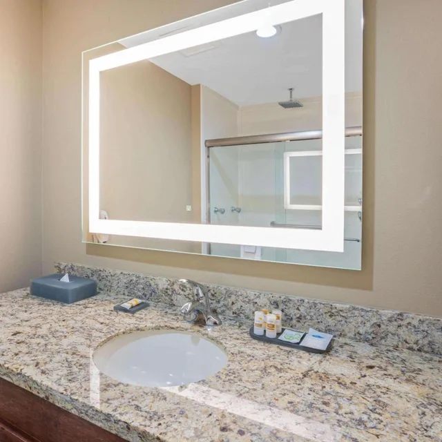 جناح عائلي ديلوكس لذوي الإعاقة، La Quinta Inn Suites Houston Willowbrook 4/6