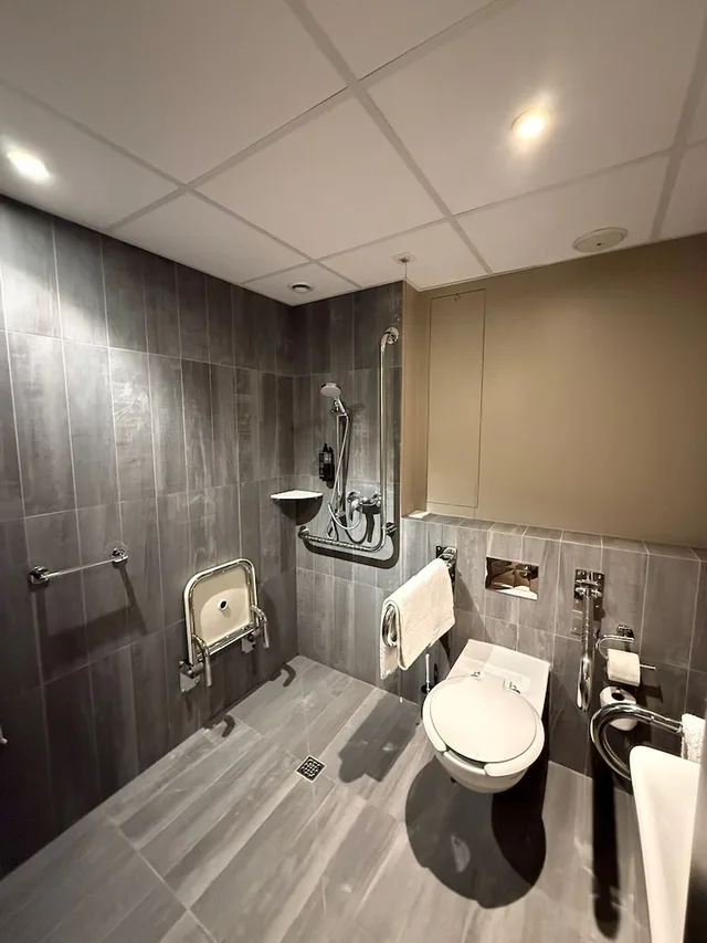 Room, Twin Beds, Accessible, Ibis Poznan Centrum 7/8