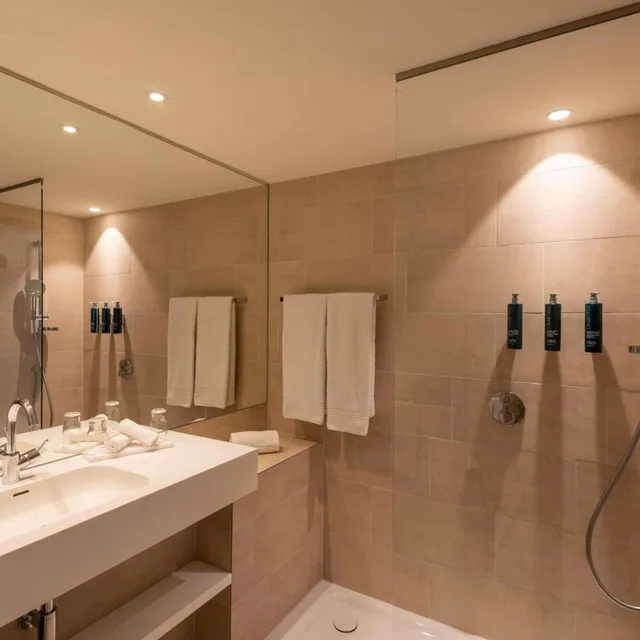 غرفة بسرير كينج، Doubletree by Hilton Vienna Schonbrunn 13/13