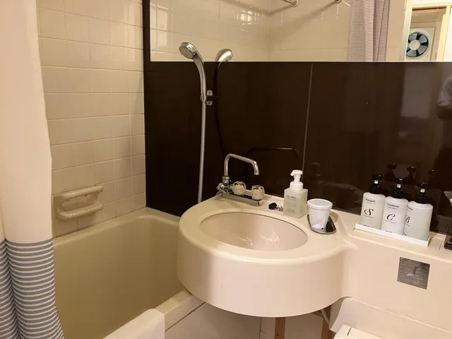غرفة ديلوكس بسرير نصف مزدوج، Hotel Livemax BUDGET Kyoto Ekimae 3/6