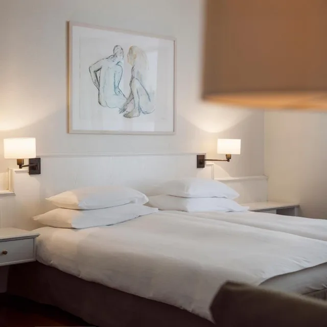 Boutique, Relax, Double Bed، Boutique Hotel Helmhaus Zurich 1/8