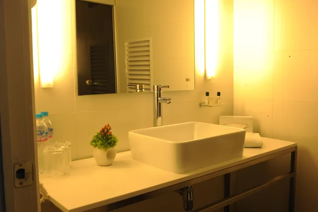 غرفة قياسية بسرير مزدوج، Hotel El Ejecutivo by Reforma Avenue 2/2