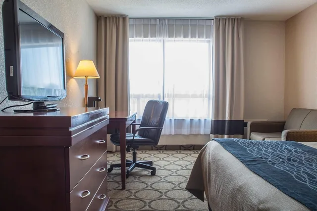 غرفة قياسية بسرير كوين، Comfort Inn London Wellington Road 6/8