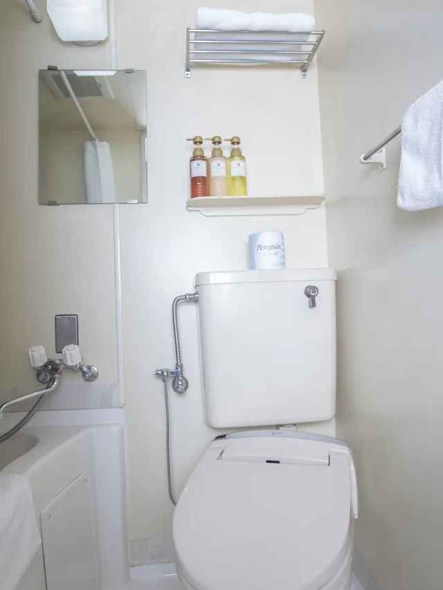 غرفة مفردة للمدخنين، Flexstay Inn Shinagawa 12/18