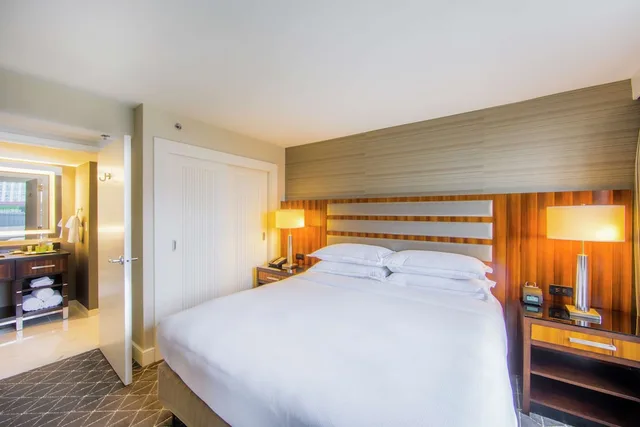 جناح تنفيذي تنفيذي بسرير كينج بإطلالة على المتنزه مع دخول الصالة، HILTON NASHVILLE-DOWNTOWN 1/4