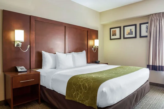 غرفة بسرير كينج، Comfort Suites At Woodbridge 2/3