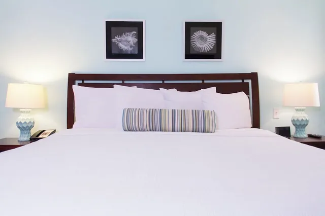 Suite, Apartment, King Bed، Dorchester Hotel 2/10