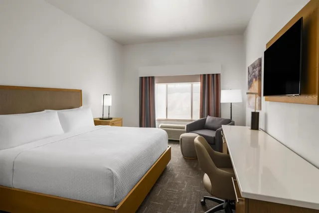 Room, King Bed, Sofa, Working Area, Accessible، Holiday Inn Express Hotel And Suites Houston Downtown Convention Center 2/3