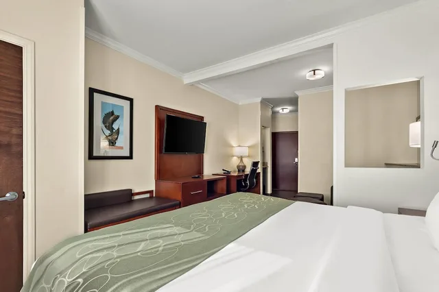 جناح، Comfort Suites Corpus Christi Central 1/10