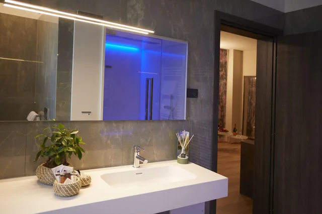 Wellness, Deluxe, Suite, Single، Concord Hotel Formerly Ata Hotel Concord 2/4